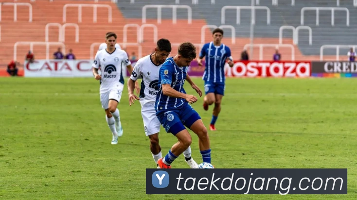 App Interface Preview